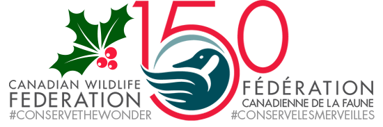 CWF Logo