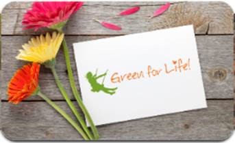 green life cards