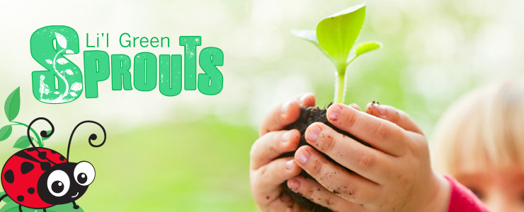 Little Green Sprout Kit Owner - Registration Required