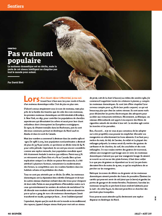 Article image with photo of a bird