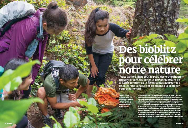 Article image with kids and adults looking at nature