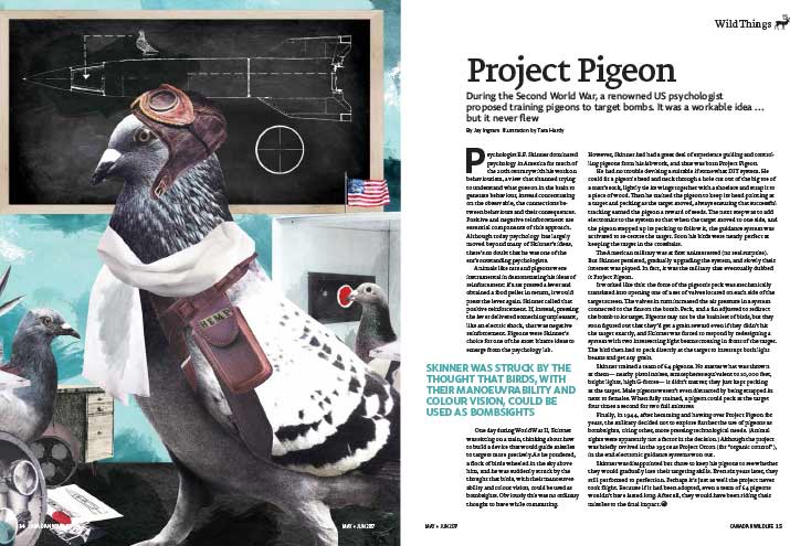 Article image with illustration of a pigeon in WWI flying gear