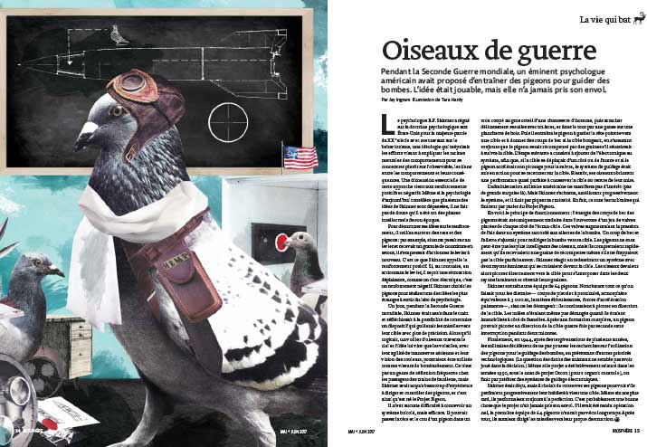 Article image with illustration of a bird wearing world war two gear