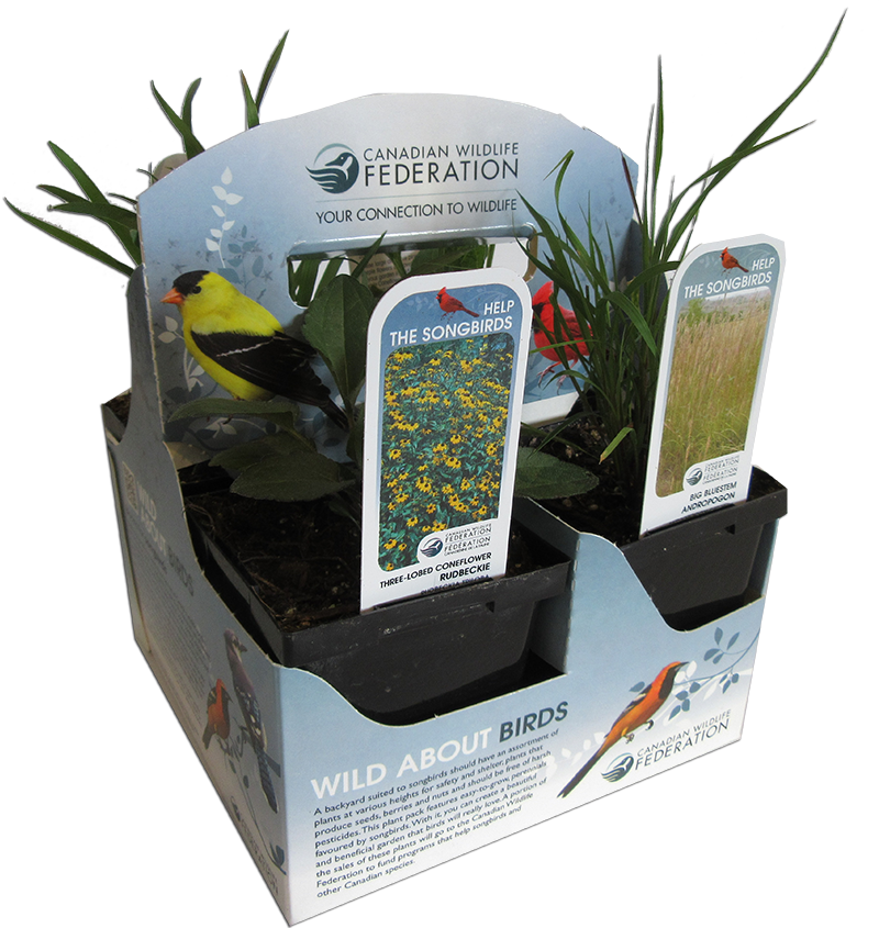 CWF Pollinator plant pack for Birds