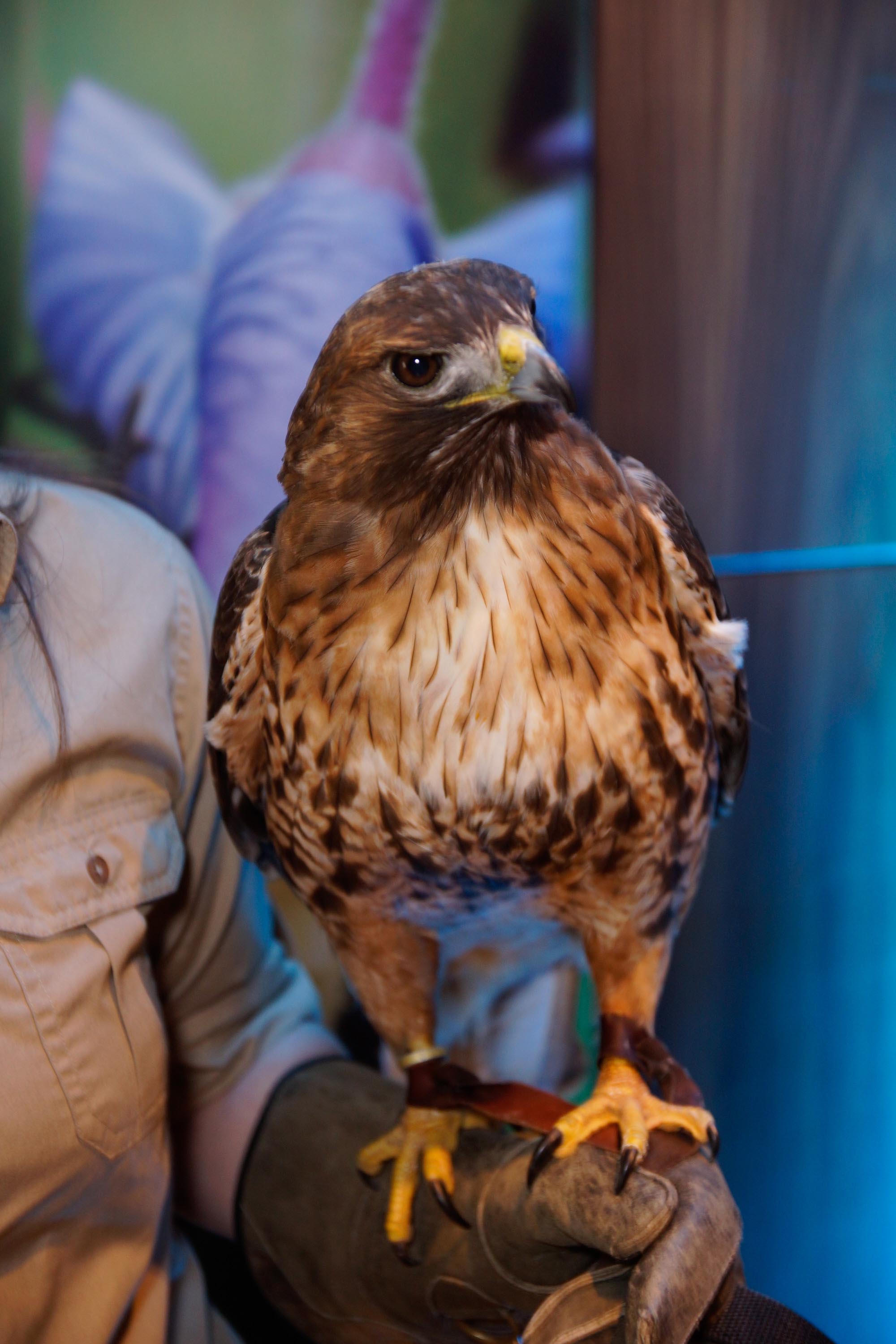 CWF Goose Gala 2016