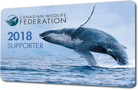 CWF 2018 Supporter Card