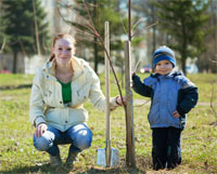 tree day 200