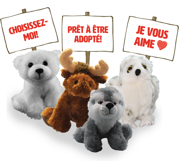 animals