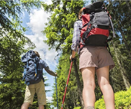 People hiking in the woods