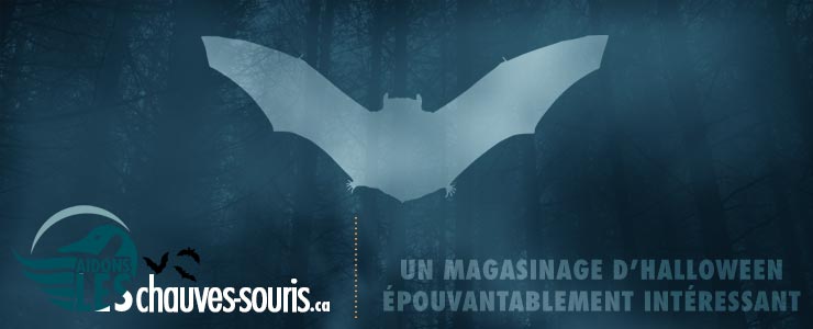 Procurez-vous dès aujourd’hui votre trousse chauves-souris d’Halloween