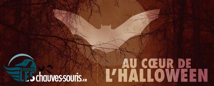 Halloween Bat Banner