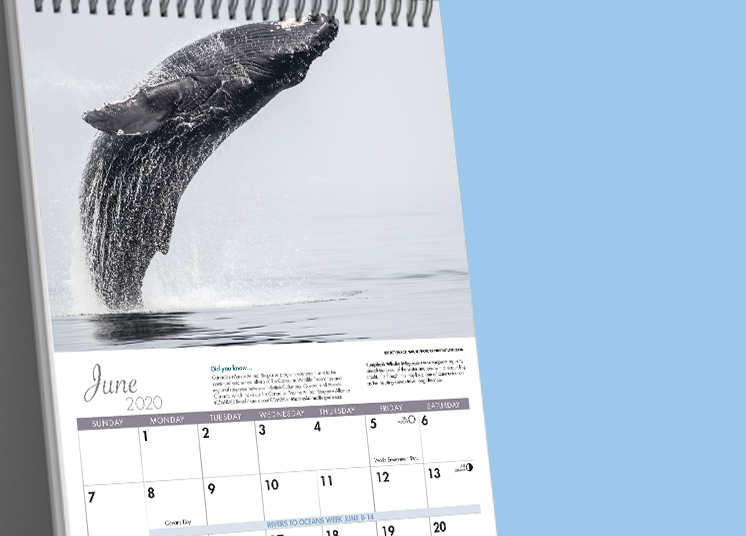 Canadian Wildlife Federation: The 2020 CWF Wildlife Calendar