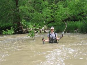 Shoreline Surveys