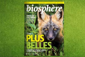 current issue bio magazine 300