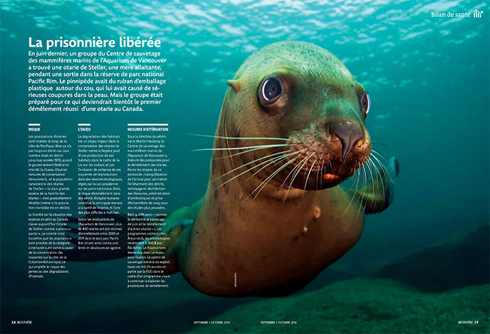 Biosphere Sept Oct 2014 Status Stellar Sea Lion