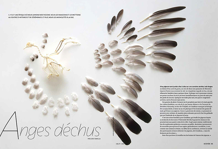 Biosphere July August 2014 Feature Fallen Angels