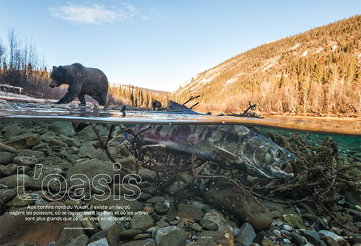 Biosphere July August 2014 Feature The Oasis
