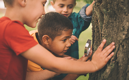 kids exploring tree trunk