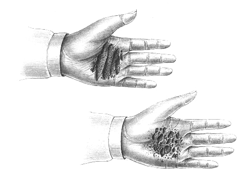 Img1Heade