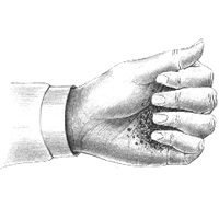 Img2