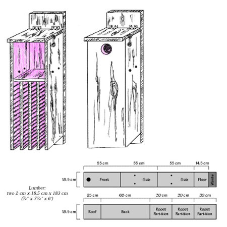 Illustration of a combination bird and bat box