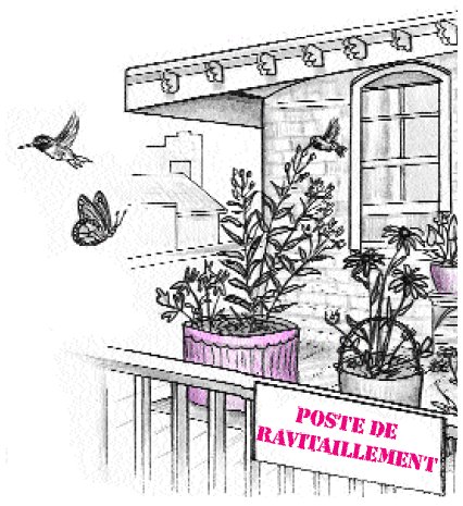 Illustration of porch with potted plants