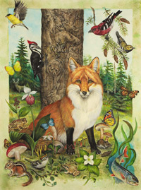 BiodiversityPoster2010S
