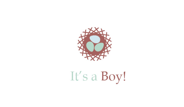 We're eggspecting a boy card