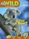 Magazine WILD