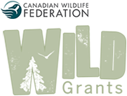WILD Grants
