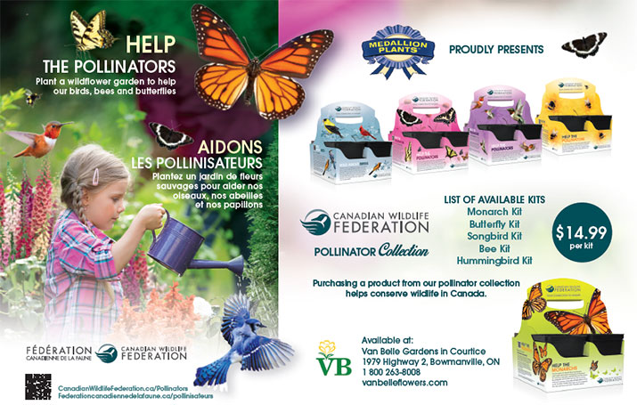 Pollinator flower kits