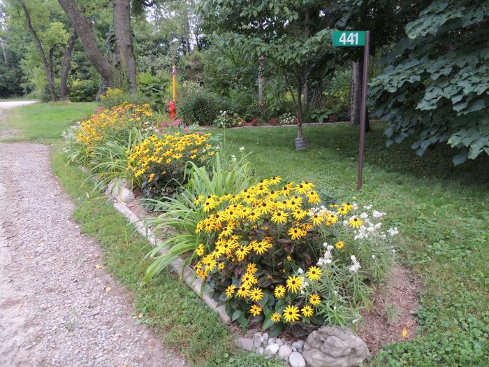 A nature sanctuary garden