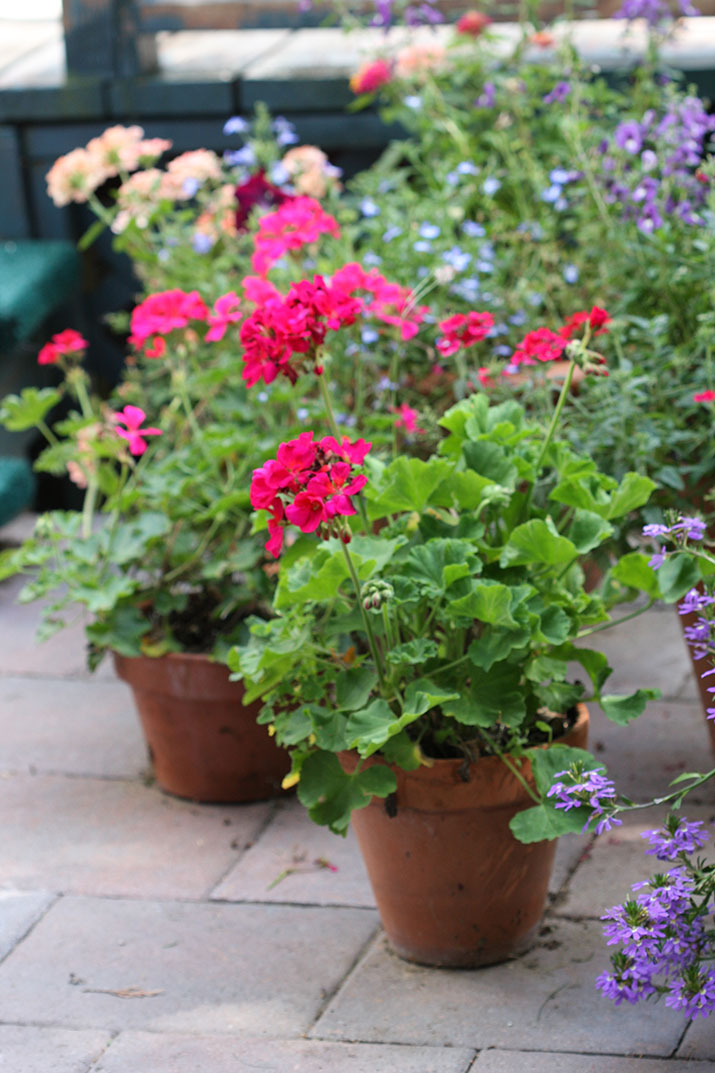 Container gardening