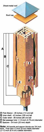 Canadian Wildlife Federation: Putting up a bat house