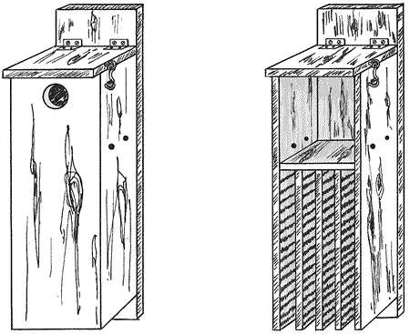  Houses on Rocket Bat Box   Great Illustration Of A Rocket Style Bat House  Give