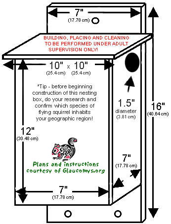 Canadian Wildlife Federation Building A Flying Squirrel Box