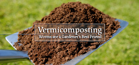 Vermicomposting Pictures