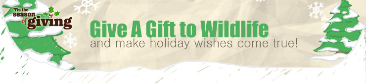 holiday header 2015