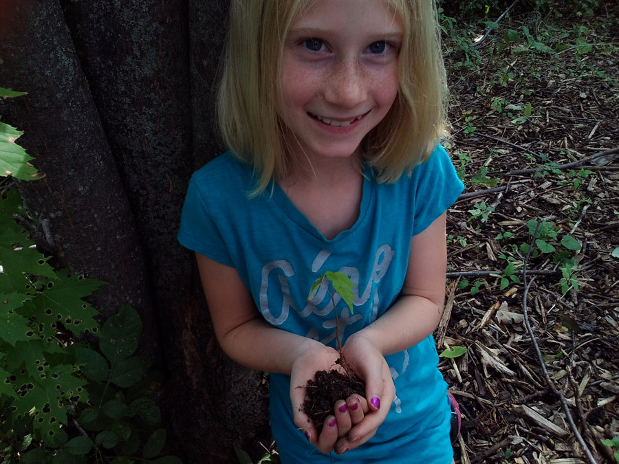 Rich soil for our plants ON