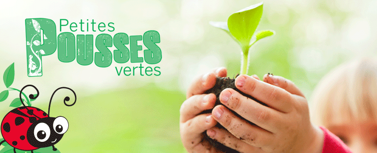 Little Green Sprouts Header FR