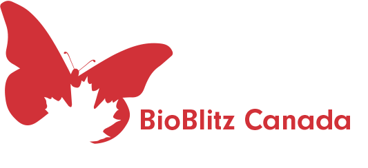 BioBlitz logo
