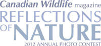 RON2010logo