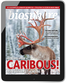 Tablet showing Biosphere magazine cover