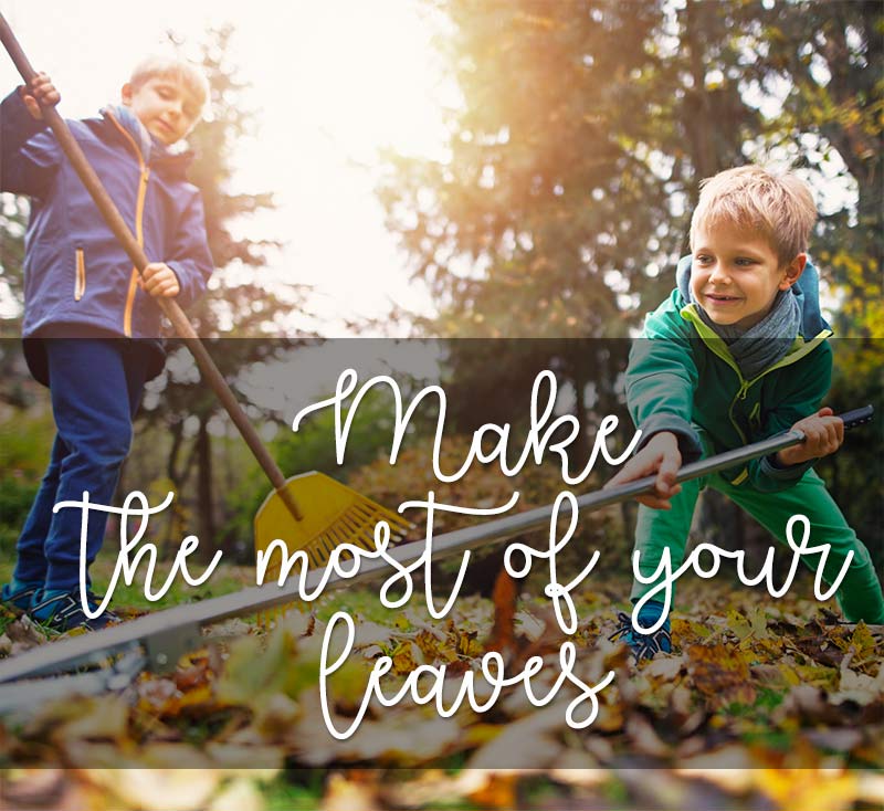 make the most with your leaves