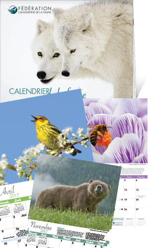 calendar month fr f
