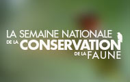 National Wildlife Week