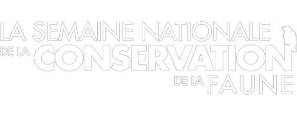 National Wildlife Week
