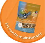 Bird seed on sale now button