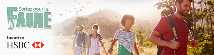 wild outside header hsbc fr
