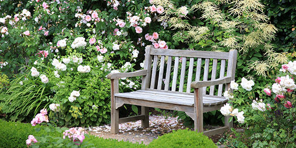 park and bench